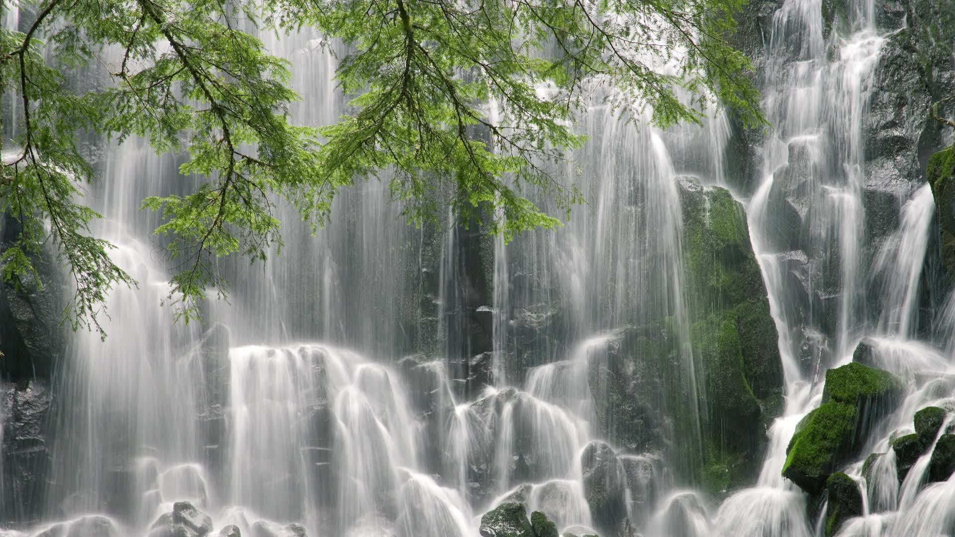 世界举重康复名师在线答疑常态化时间表公布，世界举重冠军